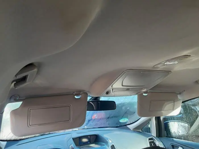 Interior lighting, front Ford Grand C-Max