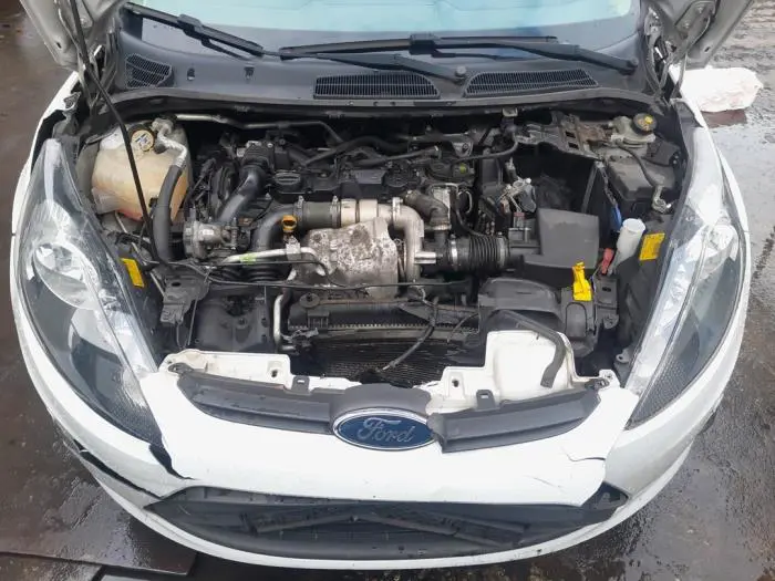 Particulate filter Ford Fiesta