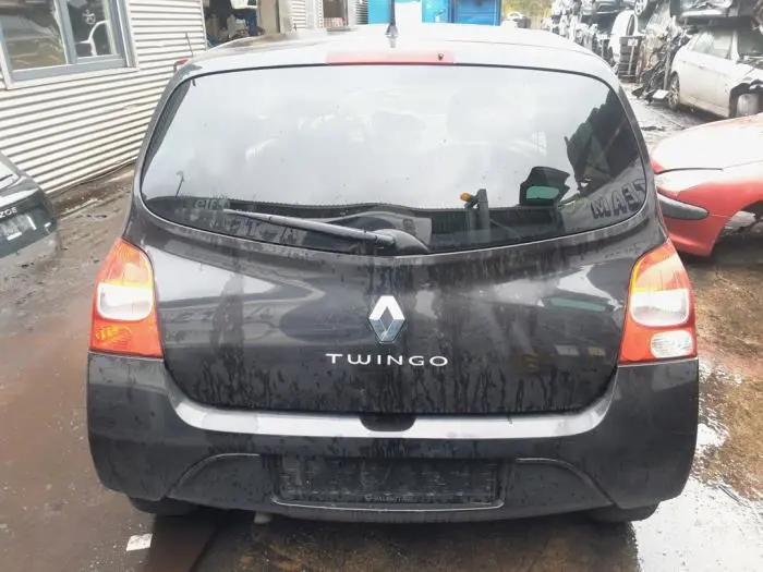 Torsieveer achter Renault Twingo